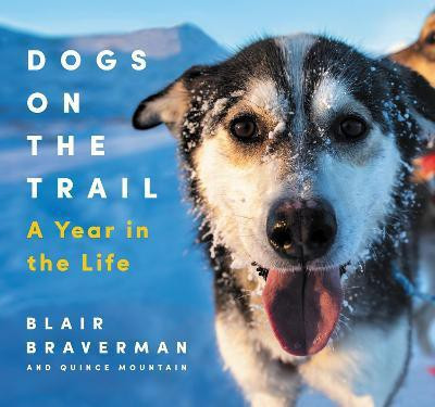 Dogs on the Trail a Year in the Life(English, Book, Braverman Blair, Mountain, Quince)