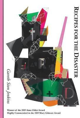 Recipes for the Disaster(English, Paperback, Jenkins Gareth Sion)