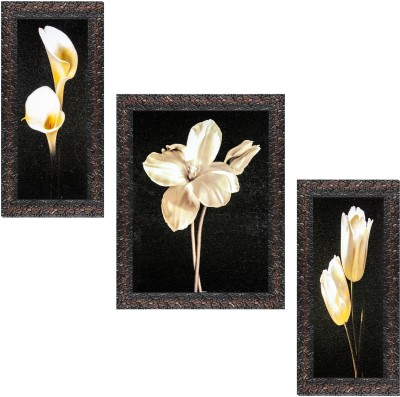Indianara Set of 3 Lily, Hibiscus, Tulip White Flowers Framed Art Painting (3067GBN) without glass (6 X 13, 10.2 X 13, 6 X 13 INCH) Digital Reprint 13 inch x 10.2 inch Painting(With Frame, Pack of 3)