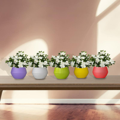 TrustBasket Adam Self watering Can (Set of 5) Plant Container Set(Pack of 5, Plastic)
