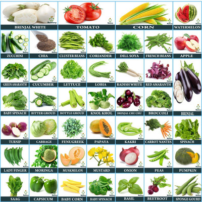 Greenery Hub 45 Variety Of Vegetable Seeds Combo Pack Seed(2500 per packet)