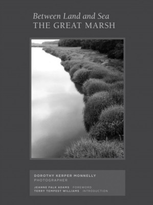 Between Land and Sea: The Great Marsh(English, Hardcover, unknown)