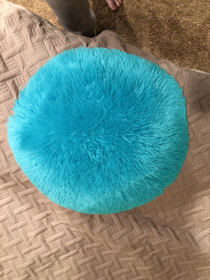 PriMaryHoMe Microfibre Solid Cushion Pack of 1(Light Blue)