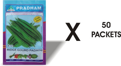 PRADHAM SEEDS RIGE GOURD PADMINI SEEDS Seed(50 per packet)