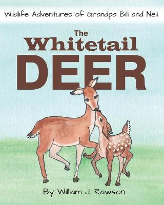 The Whitetail Deer(English, Paperback, Rawson William J)