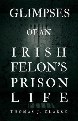 Glimpses of an Irish Felon's Prison Life(English, Paperback, Clarke Thomas J)