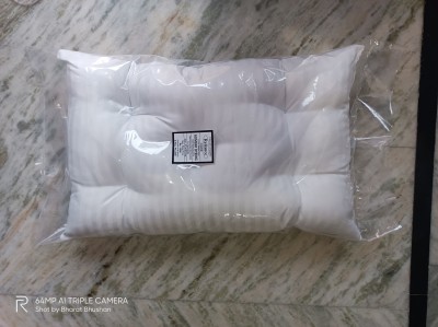 RAGHAV Polyester Fibre Nature Sleeping Pillow Pack of 2(White)