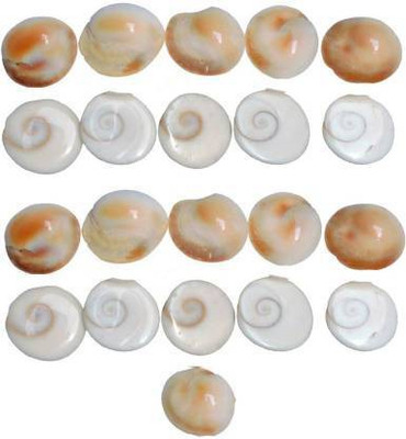 Cyan spritual 21 Pc Gomti Chakra 1.5cm Stoneware Yantra Stoneware Yantra(Pack of 21)