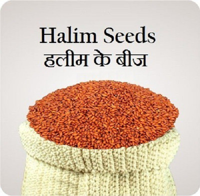 kotaliya Halim Seeds Seed(299 per packet)