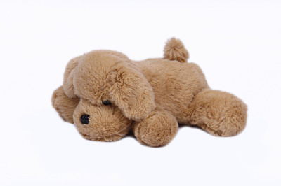Besties Dog Stuffed Soft Plush Toy, Brown Lazy Dog - 20 cm  - 10 cm(Brown)