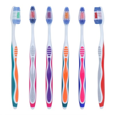 Maxi Candy Soft Toothbrush(Pack of 12)
