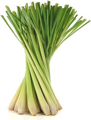 Mozette Lemon Grass Seed(52 per packet)