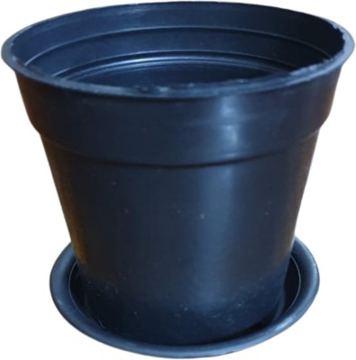 Naturally Green black pot with bottom tray 8 inch pack of 4 Plant Container Set(Pack of 4, Plastic)