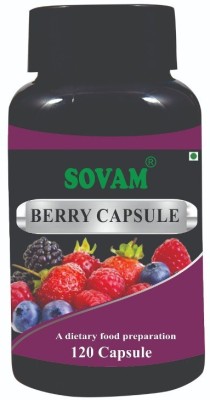 SOVAM Overall Wellness Berry Pure Extract capsules(120 Capsules)