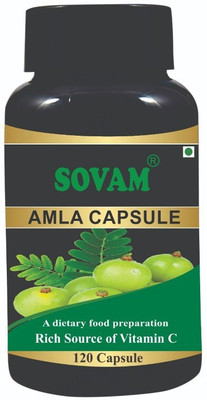 SOVAM Overall Wellness Amla Pure Extract capsules(120 Capsules)