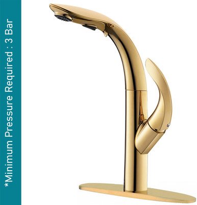 Alton ACT21005 Single Lever Sink Mixer With Swivel Spout and Dual Flow Pull-Down Sprayer Aerator Foam Flow Faucet(Deck Mount Installation Type)