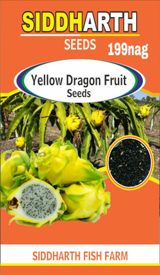 SIDDHARTH FISH FARM Yellow dragon Seed(199 per packet)