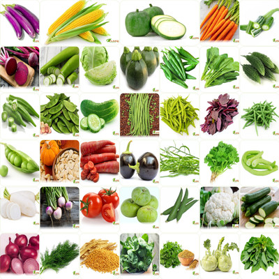 FLARE SEEDS 50 Variety Vegetable Seeds Combo Pack With Instruction Manual Seed(3200 per packet)