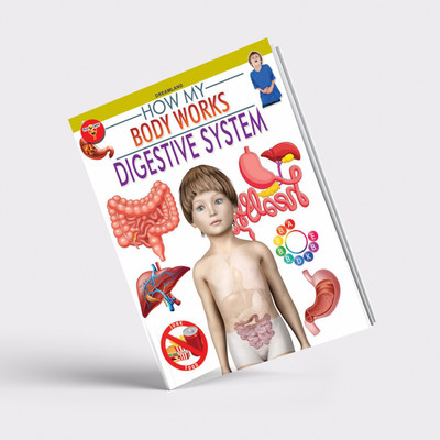 Miss & Chief Digestive System (How My Body Works)(Paperback, Dreamland Publications)