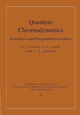 Quantum Chromodynamics(English, Paperback, Ioffe B. L.)