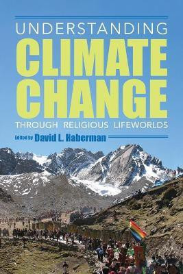 Understanding Climate Change Through Religious Lifeworlds(English, Paperback, unknown)