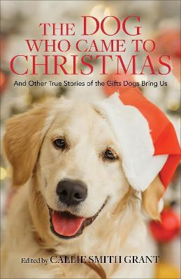 The Dog Who Came to Christmas - And Other True Stories of the Gifts Dogs Bring Us(English, Paperback, Grant Callie Smith)