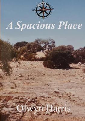 A Spacious Place(English, Paperback, Harris Olwyn)
