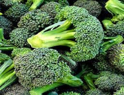 LYRS Green Magic Hybrid Broccoli Seed Seed(20 per packet)