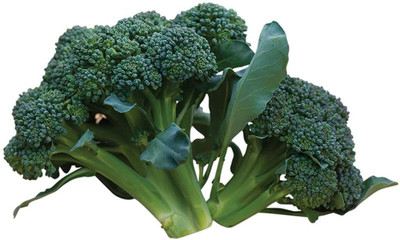 LYRS Broccoli Seed(400 per packet)