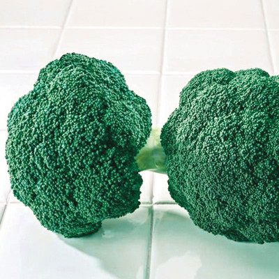 LYRS Green Sprouting Broccoli Seed Seed(140 per packet)