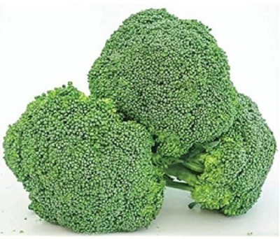 LYRS Broccoli Seed(180 per packet)