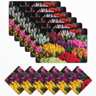 Matworks by Bathla Rectangular Pack of 6 Table Placemat(Multicolor, Plastic)