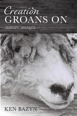 Creation Groans On(English, Paperback, Bazyn Ken)