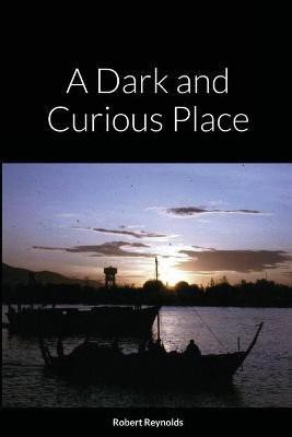 A Dark and Curious Place(English, Paperback, Reynolds Robert)
