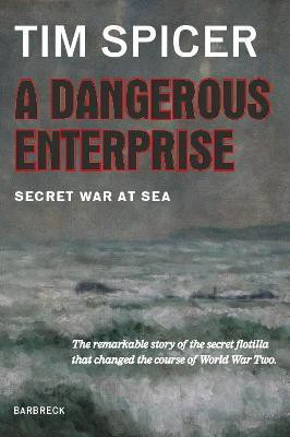 A Dangerous Enterprise(English, Hardcover, Spicer Tim)