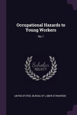 Occupational Hazards to Young Workers(English, Paperback, unknown)