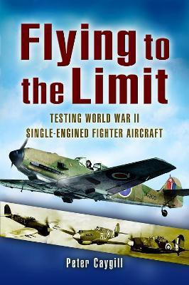 Flying to the Limit(English, Paperback, Caygil Peter)