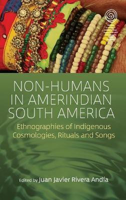 Non-Humans in Amerindian South America(English, Hardcover, unknown)