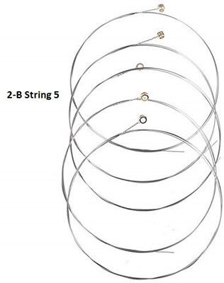 Mtunes Acoustic 2Nd B Pack Of 5 Guitar String(5 Strings)