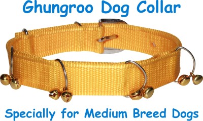 BODY BUILDING Dog Everyday Collar(Medium, yellow)