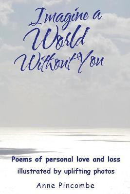Imagine a World Without You(English, Paperback, Pincombe Anne)