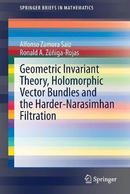 Geometric Invariant Theory, Holomorphic Vector Bundles and the Harder-Narasimhan Filtration(English, Paperback, Zamora Saiz Alfonso)