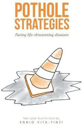 Pothole Strategies(English, Hardcover, Vita-Finzi Ennio)