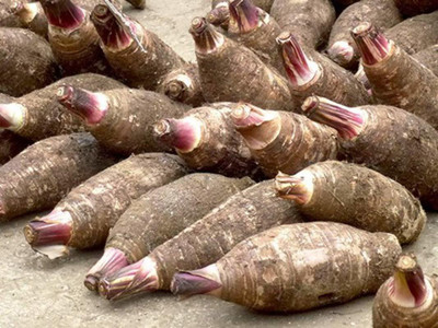 Aywal Taro Root,Kachu Seed(18 per packet)