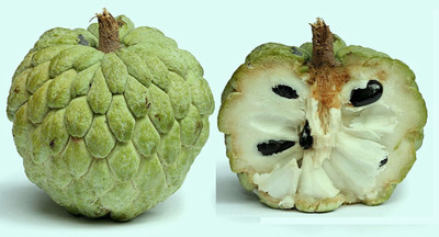 Aywal Annona Squamosa/custard Seed(17 per packet)