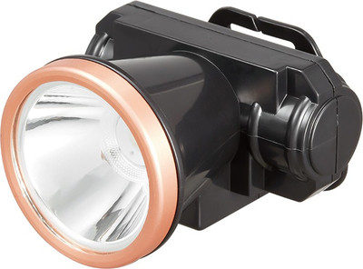 Dp 7235A (REACHARGEABLE LED HEAD LIGHT) 30W LED Torch(Black, 20 cm, Rechargeable)