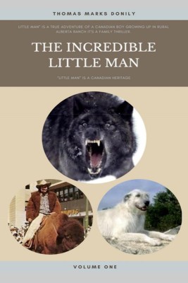 The Incredible Little Man(English, Paperback, Thomas Marks Donily)