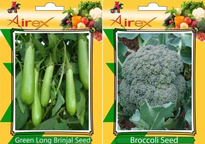 Antier Green Long Brinjal and Broccoli Vegetables Seed + Humic Acid Fertilizer (For Growth of All Plant and Better Responce) 15 gm Humic Acid + Pack Of 30 Seed * 2 Per Packet Seed(30 per packet)