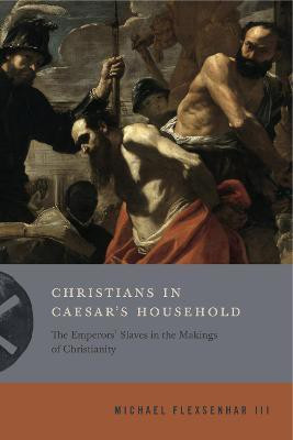 Christians in Caesar's Household(English, Hardcover, Flexsenhar III Michael)
