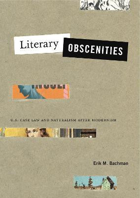 Literary Obscenities(English, Hardcover, Bachman Erik M.)
